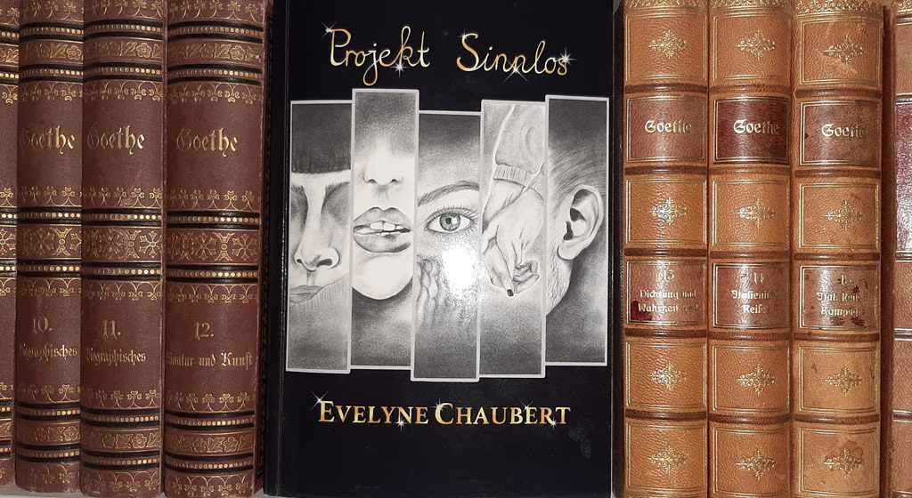Sinn-losigkeit ist etwas grundsätzlich Anderes als Sinnlosigkeit. Den Hauptpersonen in Evelyne Chauberts Erstlingsroman fehlt jeweils ein Wahrnehmungsfeld.