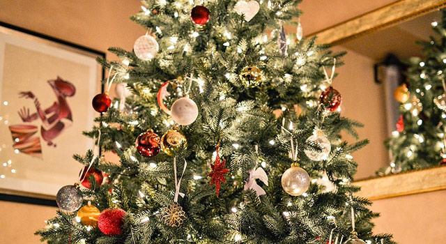 In der Vorweihnachtszeit sorgt die Weihnachtsbeleuchtung schon einmal für die richtige Einstimmung auf Weihnachten und ist ein absolutes Muss für Weihnachtsfans.