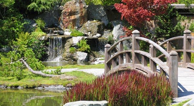 Die Umgebung des Parks von Sinneringen erinnert unsere Redaktions-Mitarbeiterin an japanische Gärten. In sehr bedenkenswerten Worten variiert sie das Goethe-Zitat: Willst du immer weiter schweifen…
