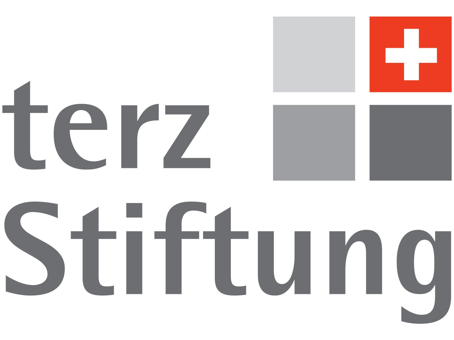 Logo_terzStiftung
